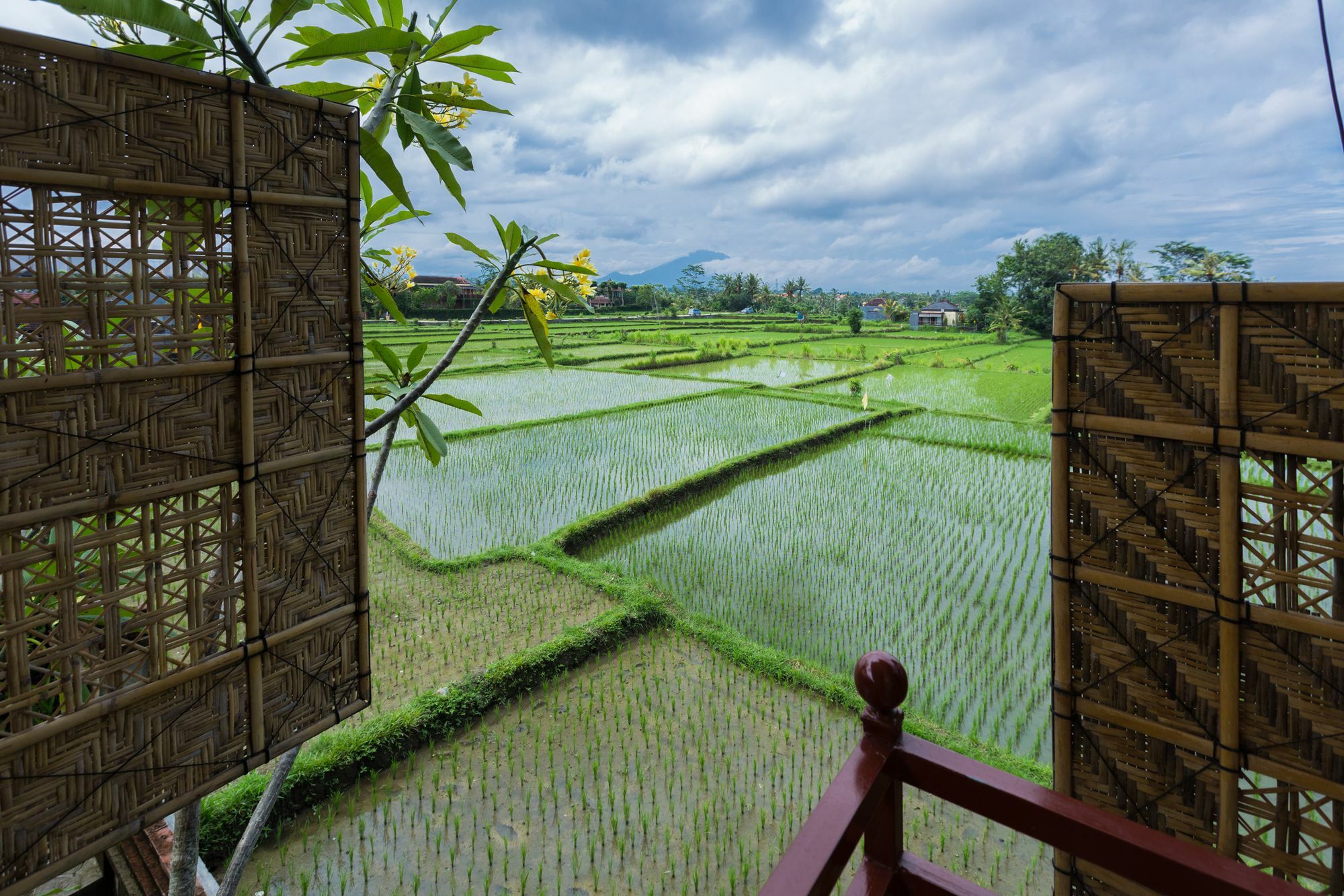 Murni's Ligondi Wisma tamu Ubud (Bali)